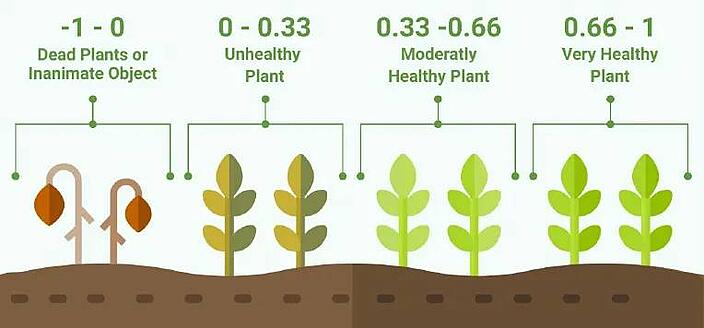how-to-evaluate-ndvi-in-agriculture-normalized-difference-vegetation