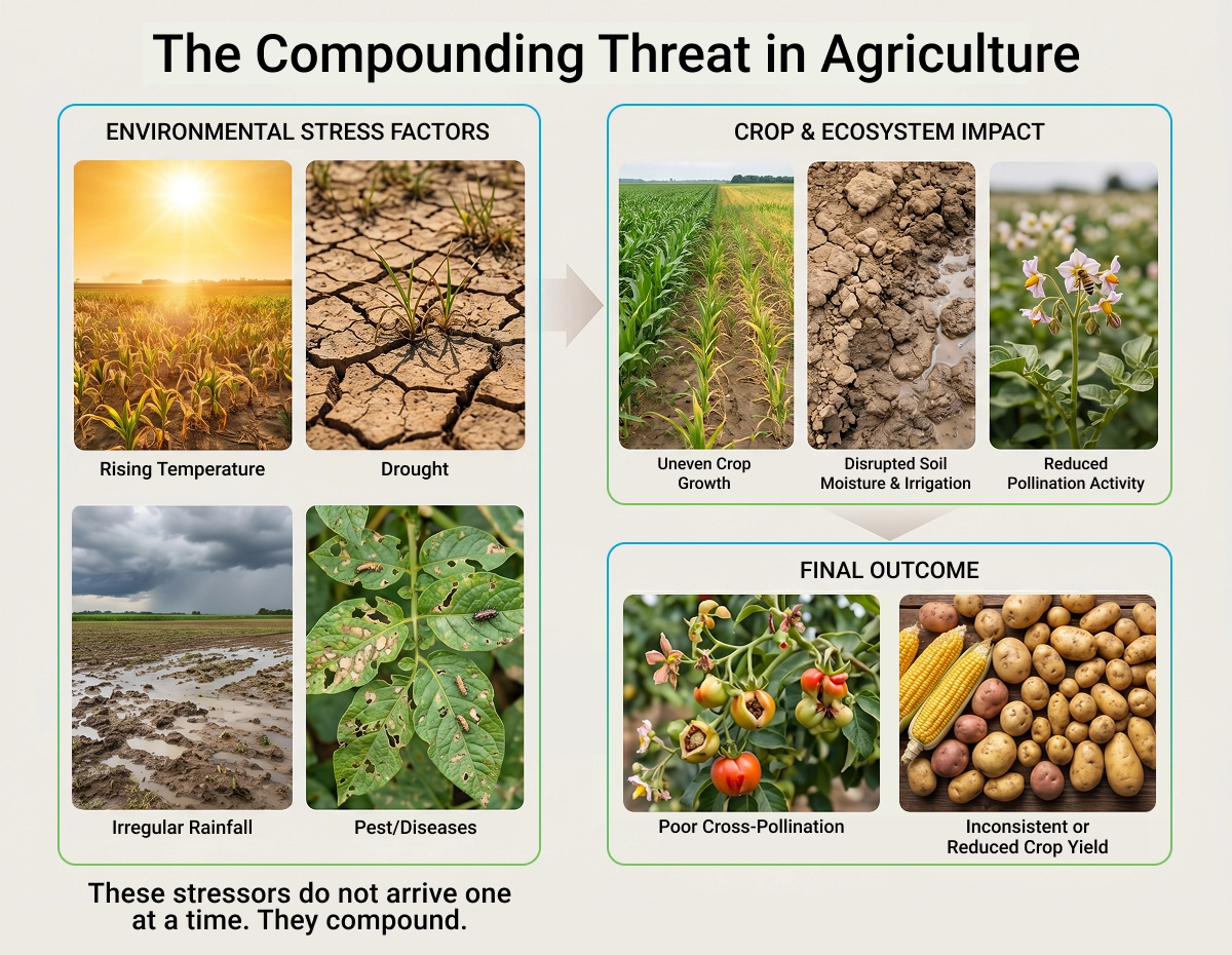 The compounding threat 2