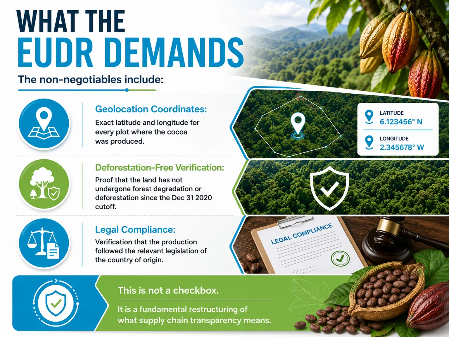 What the EUDR Demands 2